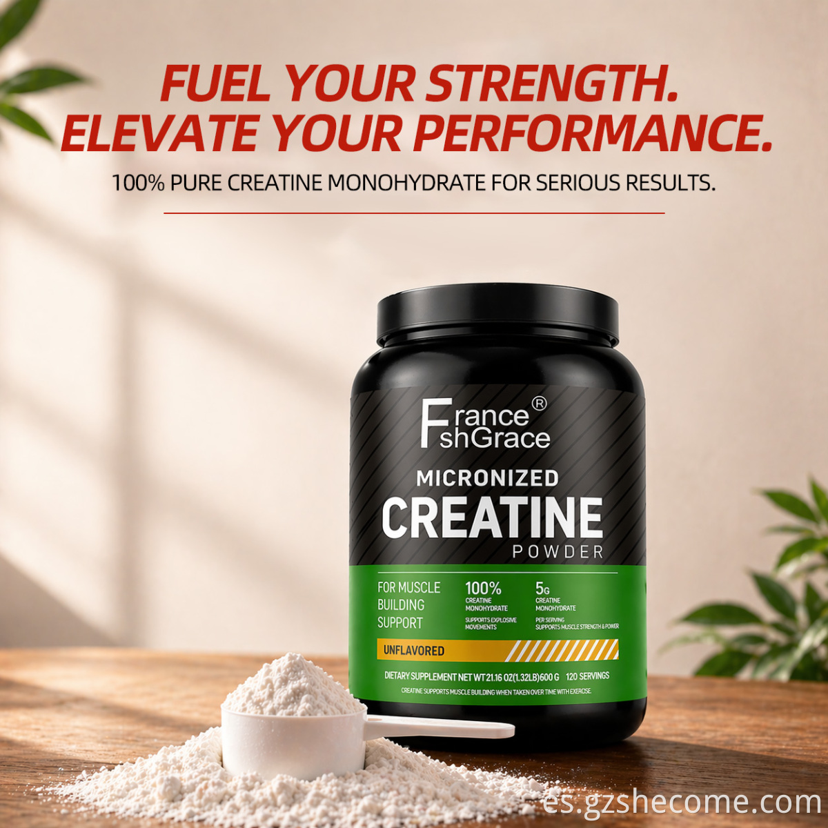 Creatine Monohydrate Powder9
